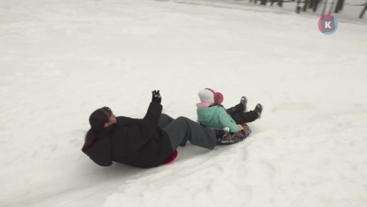 ������ ������ ���: � ��������������� �������� ������ ������������ ������� �������