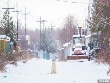 ������ ��������� ������� ��� ���������: ��� ����� � 2026 ����