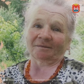 ������� 96-����� ��������� ������� ����������� ��������������� ������� ���� �������� �������