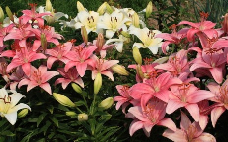 ��� ��������� ������������� ����� ��� ������� � ����� �������