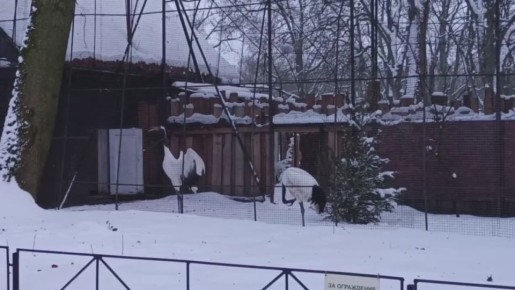 ���� �������� �������� ����� � ������� �������� ������ �����