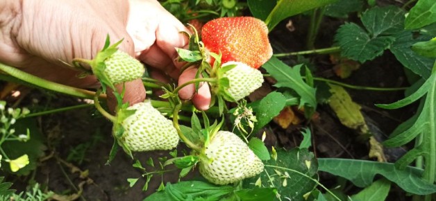 ��������: ������� ��������� ������