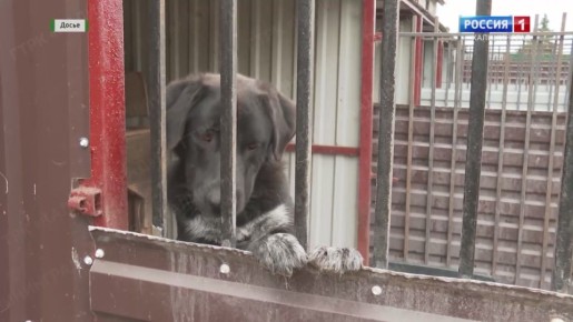 �� � ������ �� ���, ���� ���������