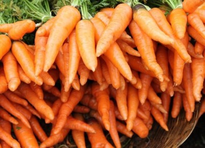 ��� ��������� ������������� �������� � �������: ������� ��������� ������