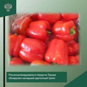 ������������������ � ����� �� ������ ��������� �������� ��������� �����