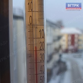 � ������ ����� -17 ��������