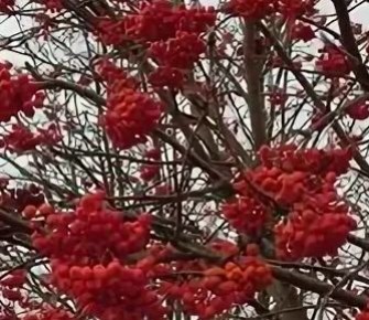 ������: ������� ������ �� ����� ��������