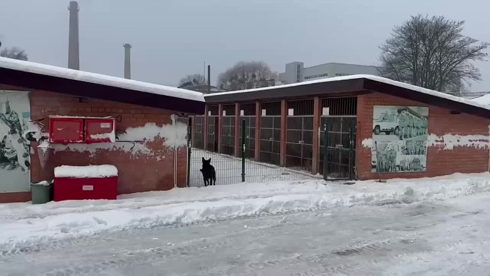 ��������������� �������� ������������� � ������� ����������� ��������� � ��������� ����� � ������ ����� ������������� ������