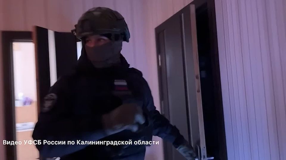 Калининградке грозит до 5 лет за комментарий