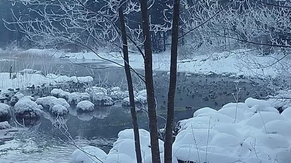 ���, ��� ���� �����-�� ������ ��������� ����������