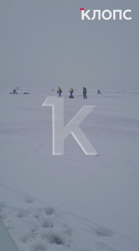 Лещи вместо рядовок: грибники из Калининграда переключились на подлёдный лов