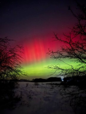 ��� ������� ������������ ���������� ��������� ������ �� ��������� ������������� � � ��������� ������