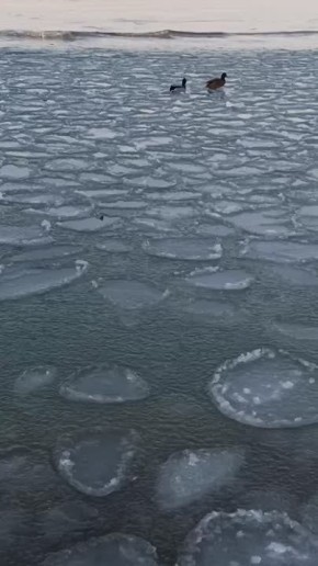 � ���� ���� ������� ��� ������ ���������� ���������