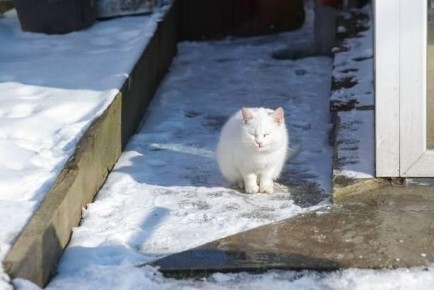 ����� ����� ������ ����������� � ���� ��-���������� ������ ��������������� ������!