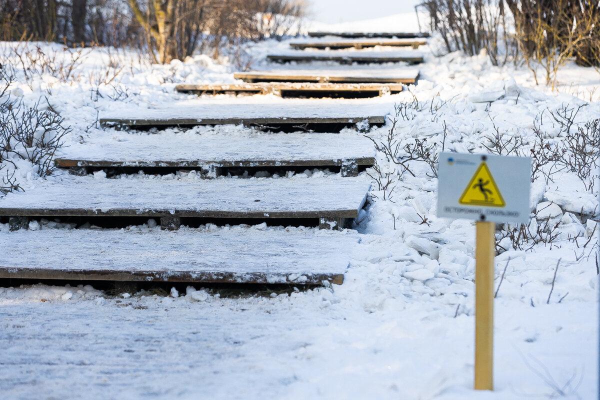 Коса без Калины: как живёт нацпарк, директора которого обвиняют в незаконной вырубке Коса без Калины: как живёт нацпарк, директора которого обвиняют в незаконной вырубке