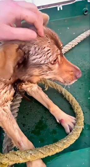 � ��������������� ������ ������ �������� ������ �� ������� �������