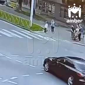 С хозяев американского булли, покусавшего девочку на перекрёстке Невского и Куйбышева, взыскали больше 330к компенсации