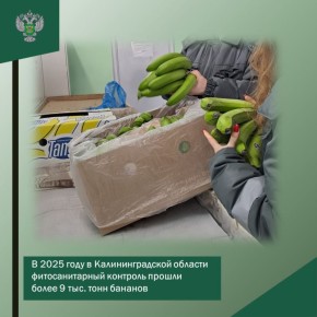 � 2025 ���� � ��������������� ������� �������������� �������� ������ ����� 9 ���