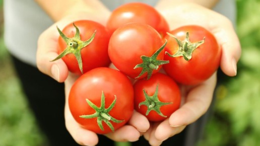 ������ ������������������ ������ �� ��������� ��������: ������ ���� ����������