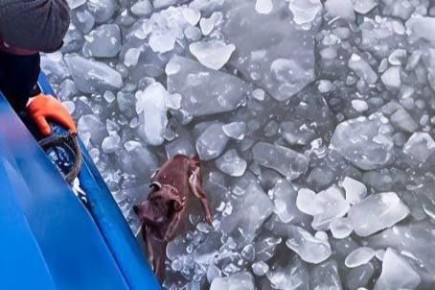 ���� ��� ������� �������! ������ ������ ������ �� ������� ���� � ��������������� ������