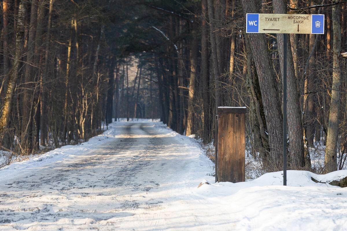 Коса без Калины: как живёт нацпарк, директора которого обвиняют в незаконной вырубке Коса без Калины: как живёт нацпарк, директора которого обвиняют в незаконной вырубке