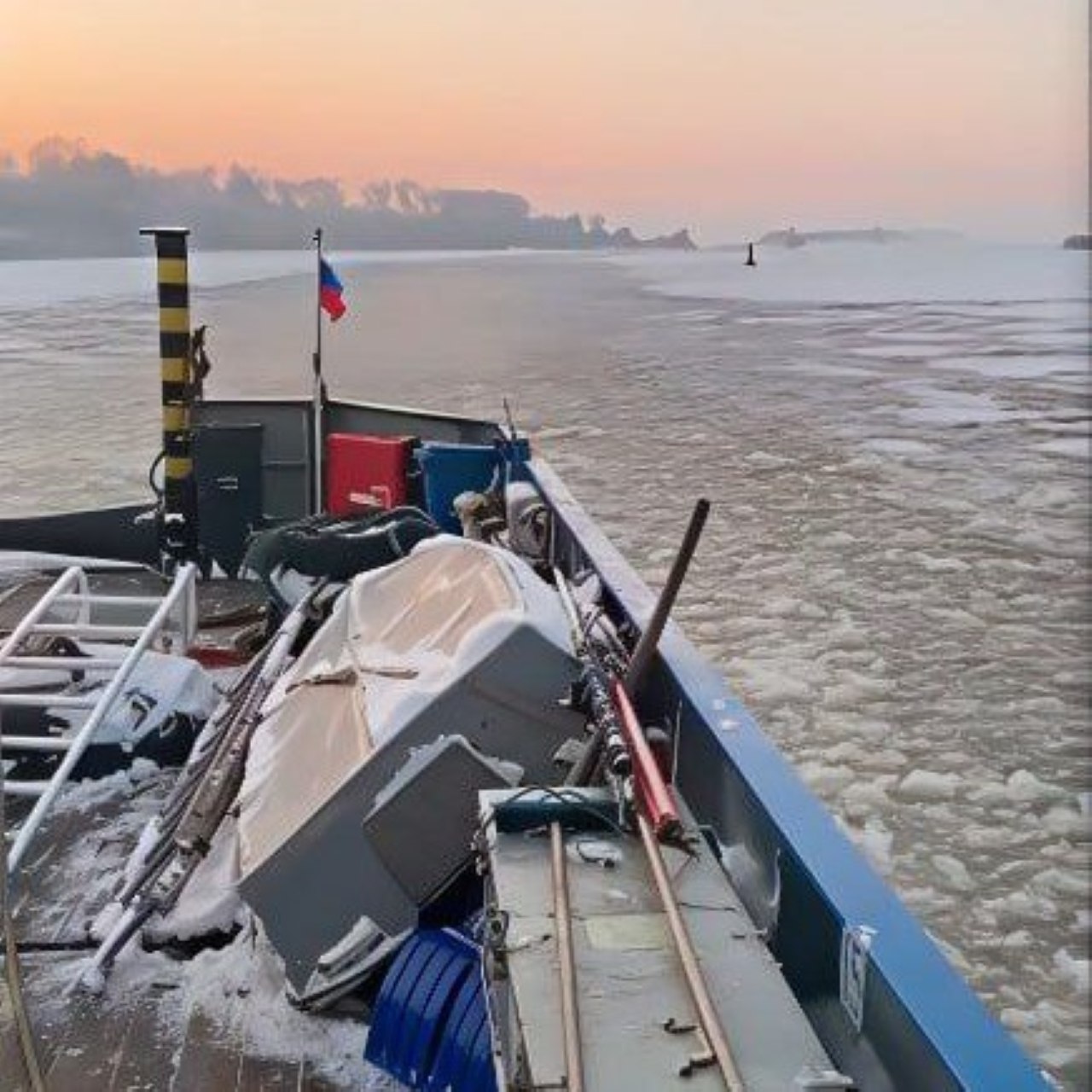 Экипаж «Росморпорта» спас собаку из ледяной воды Экипаж «Росморпорта» спас собаку из ледяной воды