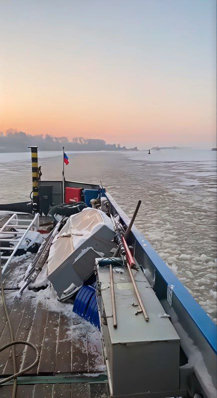 Калининградские моряки спасли собаку из ледяной воды судоходного канала Калининградские моряки спасли собаку из ледяной воды судоходного канала