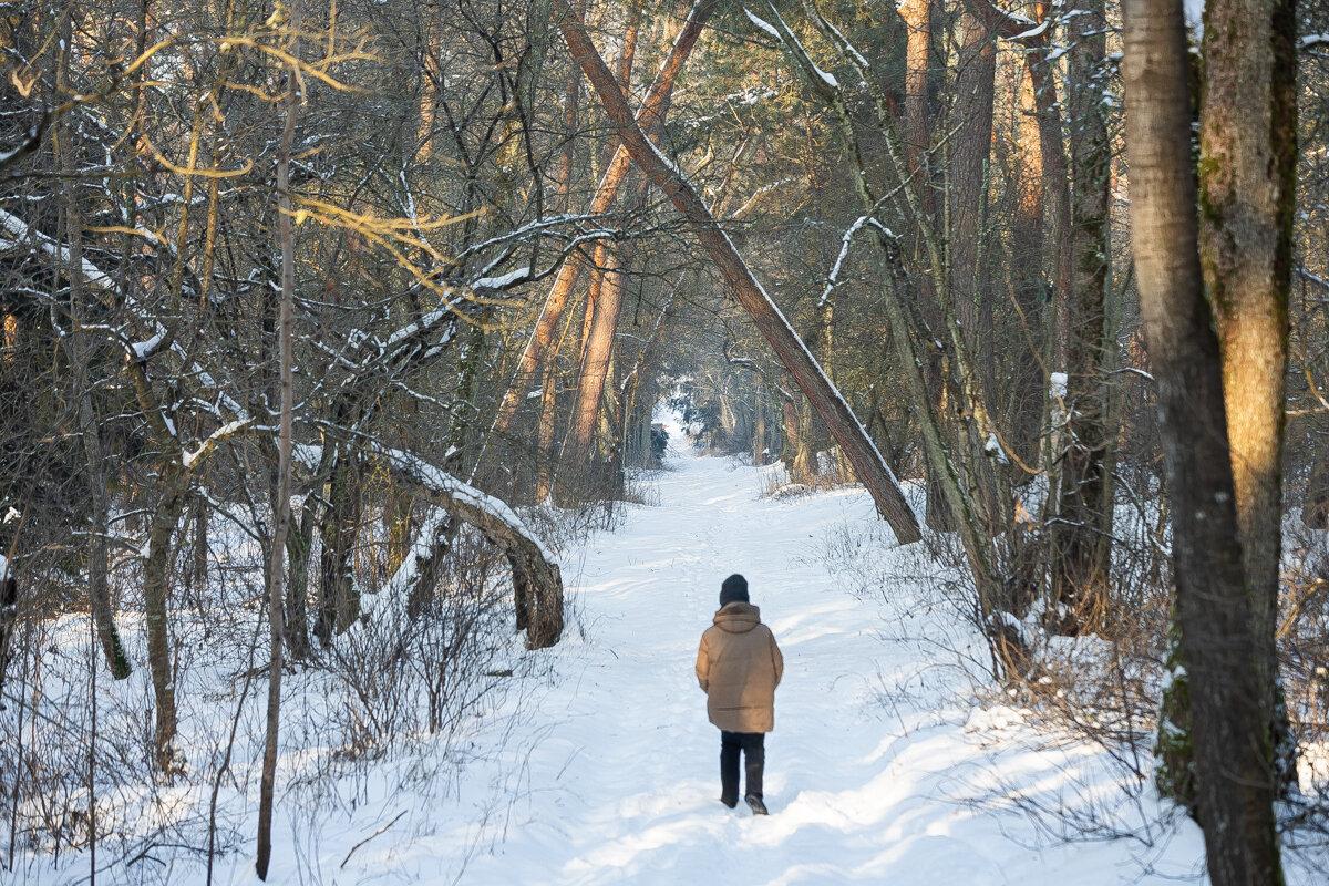 Коса без Калины: как живёт нацпарк, директора которого обвиняют в незаконной вырубке Коса без Калины: как живёт нацпарк, директора которого обвиняют в незаконной вырубке