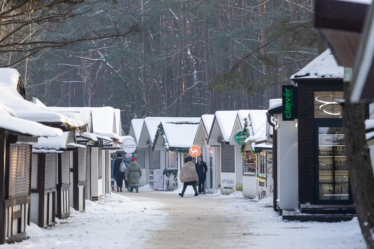 Коса без Калины: как живёт нацпарк, директора которого обвиняют в незаконной вырубке Коса без Калины: как живёт нацпарк, директора которого обвиняют в незаконной вырубке