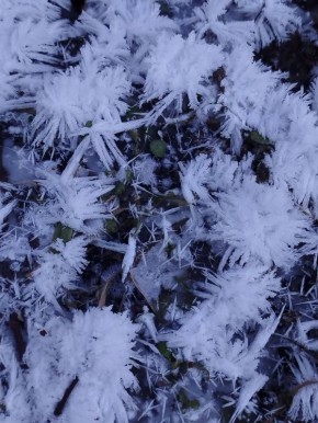 ��� ������� ������ �����������, ��������� ������ ������