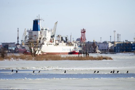 ���� ������� �������: �� ��������� ������ �������� ����������