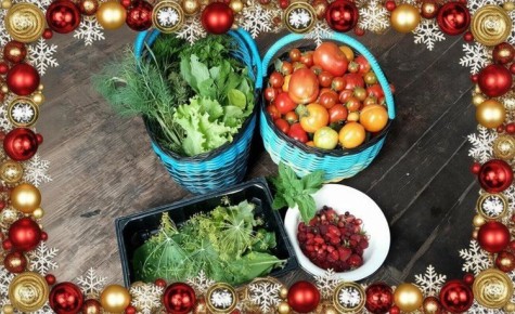 Как составить карту желаний для огорода на 2026 год: идеи для сочного урожая