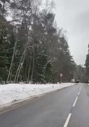 �� �������� ���� ���� �������� ��������� ������� ����� ������