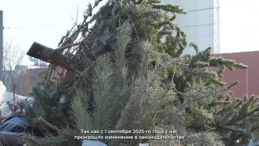 � ������ �������� ����� �������� ����������