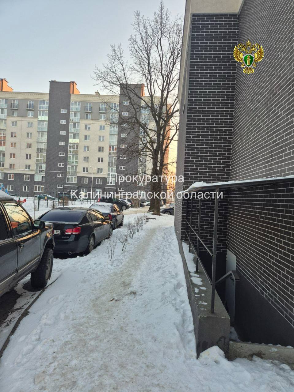 Прокуратура Ленинградского района г. Калининграда проводит проверку по факту травмирования несовершеннолетней