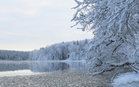 �� �������� ������ ������ ������ �� �������