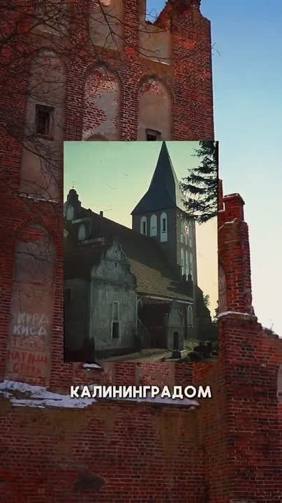 ����� ������� ������� � ������������ ���� ��������� � ������ XIV ���� ���� ������ ���������� � ��� ���������� ���� �� 1482 ���