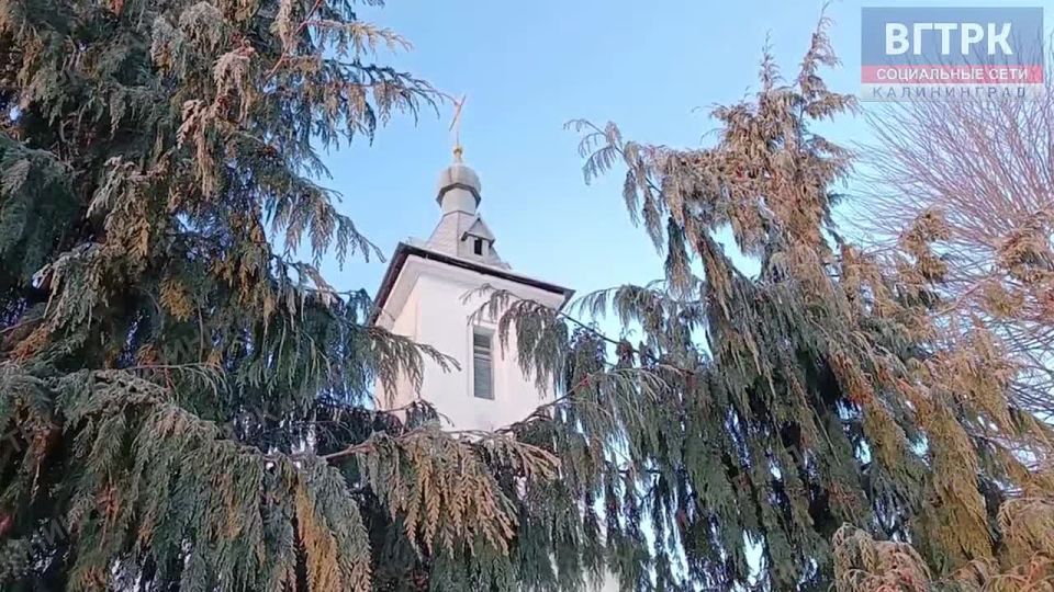 ��������. ����� ���� ���������