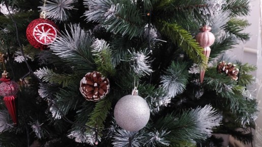 ������ ����� ���: ��� �������� �������� � ���� � ����� �������� �����������