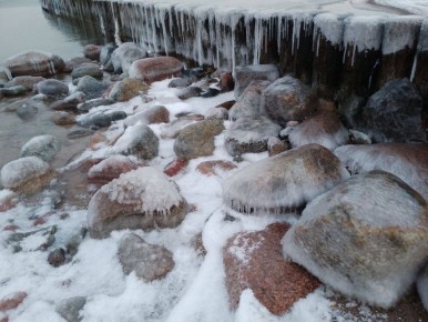 ����� ���� ��������: ����������� ������������ ������� ���������� �����