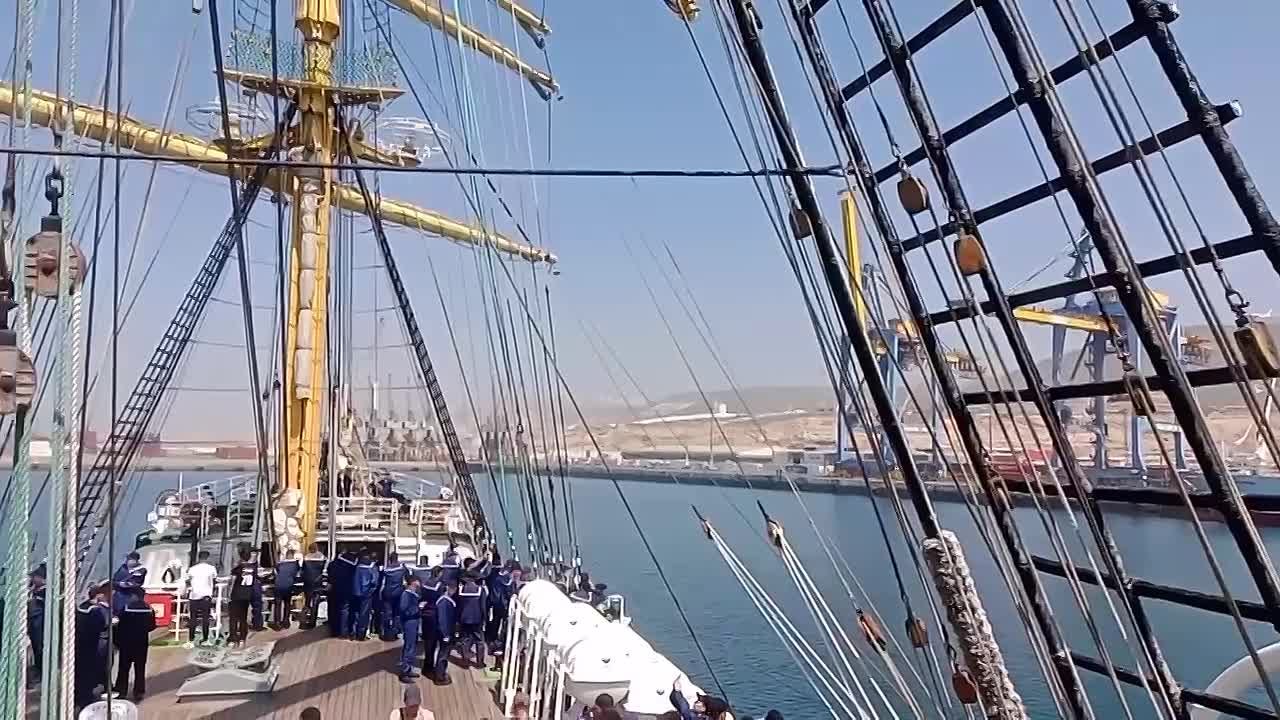 Руководитель Федерального агентства по рыболовству Ильи Шестаков поздравил учащихся вузов и колледжей с Днём российского студенчества