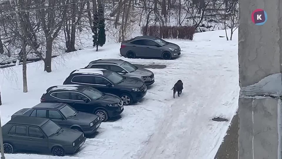 ���� �� ������ �������� ������: �������� ����� � ������ ��������� ������ ����� ��������� ��� ����� �����