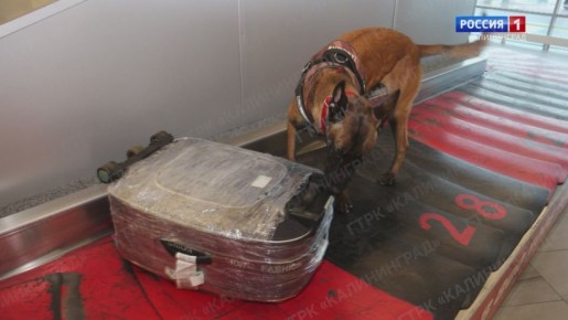 ����� ��������� ����� ������ � ������� ������� ���������