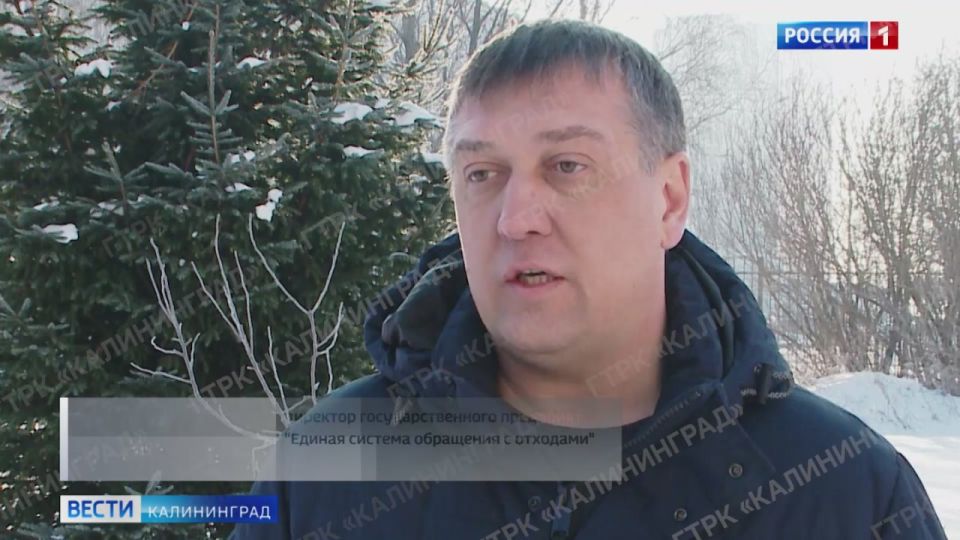 Акция «Круговорот ёлок» проходит по всей России