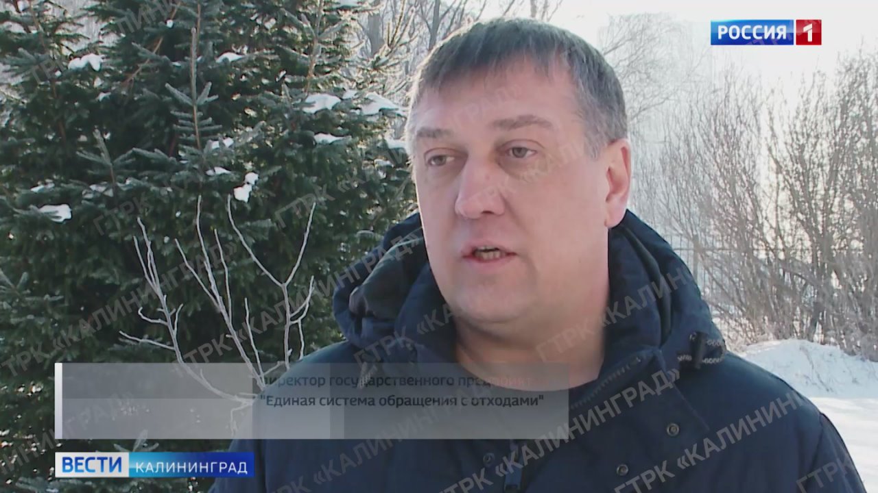 Акция «Круговорот ёлок» проходит по всей России