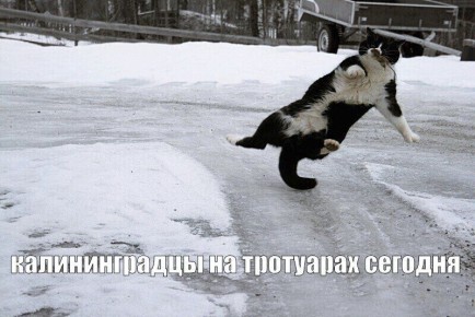 �� ��� ��?. ���������� �� ���������� �� ������� � ��������� ������ � ������������