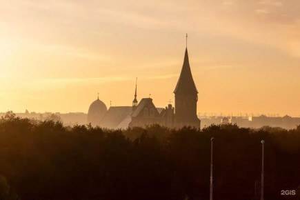 Два собора и лестница в Третьяковке: восемь из ста лучших фотографий 2025 сделаны в Калининградской области — 2ГИС