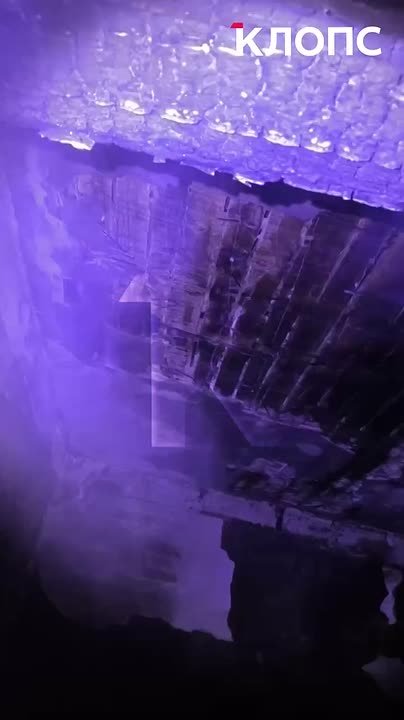 Пламя поднималось к окну: как мама из Калининграда спасла трёх дочек, выбросив их со второго этажа в руки соседей