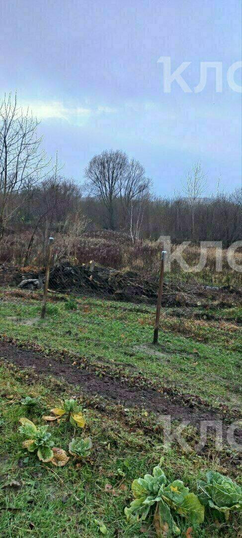 «Наши дома утонут в стоках»: в Калининграде под застройку урезали участки, которые люди обихаживали с послевоенных лет «Наши дома утонут в стоках»: в Калининграде под застройку урезали участки, которые люди обихаживали с послевоенных лет