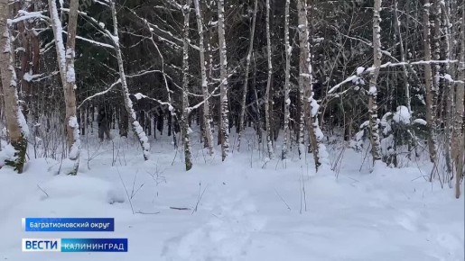 � ����� ��������������� ������� ������ ������� ����� ������